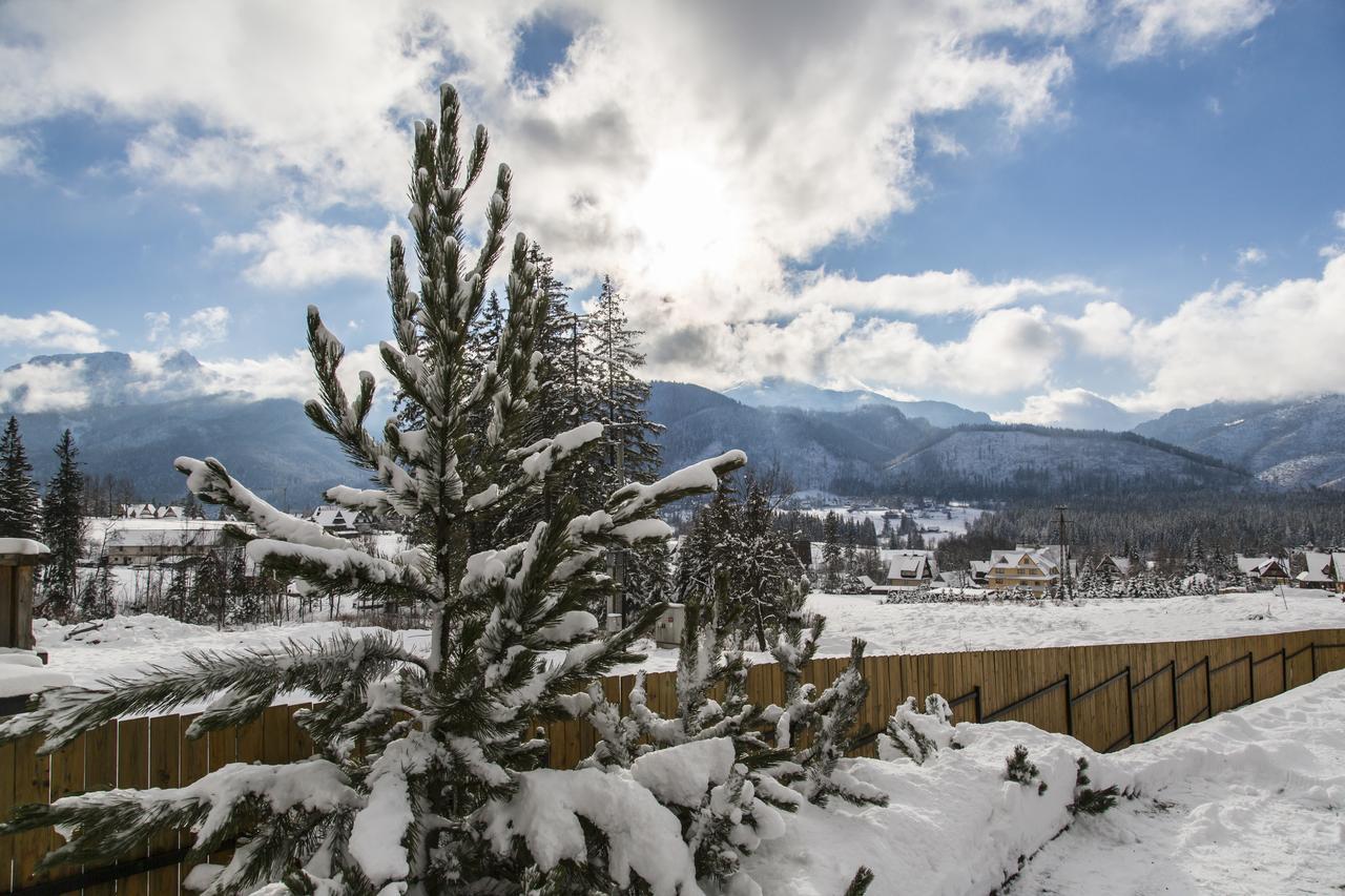 Udanypobyt Apartamenty Snowbird Kościelisko Exterior foto